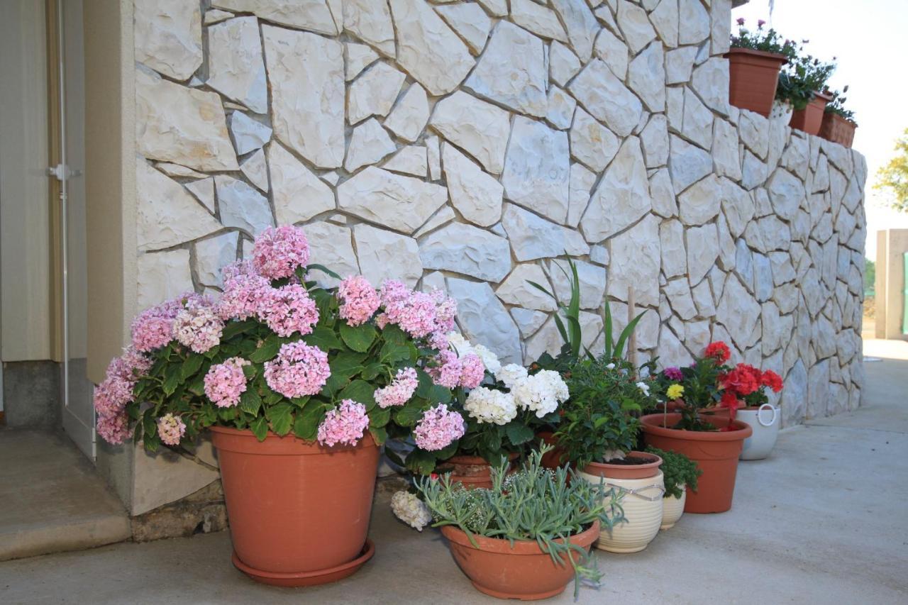 Apartments With A Parking Space Punta Kriza, Cres - 8082 מראה חיצוני תמונה